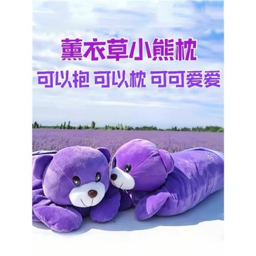 新疆禮物薰衣草小熊枕頭安神助眠可愛玩偶兒童女孩伊犁特產包郵