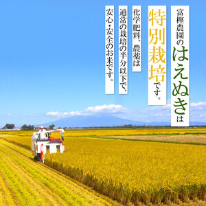 新米 富樫農園の特別栽培米はえぬき精米5kg W05-001