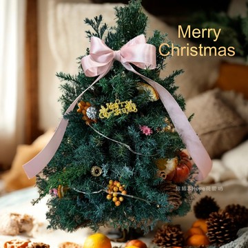 【送禮精選】聖誕檜樂 ・手作聖誕樹 x 贈檜木精油5ml