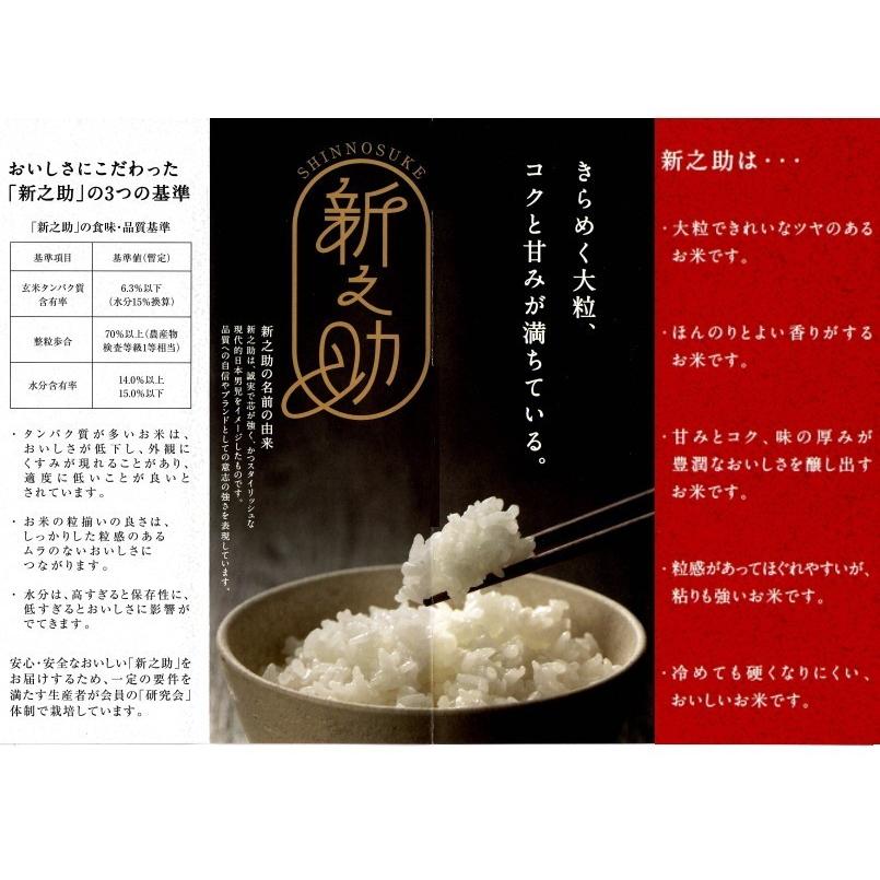 新之助 しんのすけ 令和４年産   新潟産 10kg (5kg×2) 送料無料 (本州のみ）