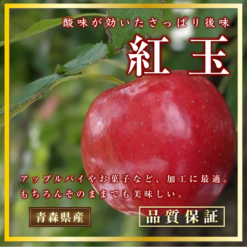 [予約 10月10日-11月30日の納品] 紅玉 約5kg 25-28玉 小玉 青森県産 りんご こうぎょく アップルパイ 加工用 洋菓子 果実専用箱