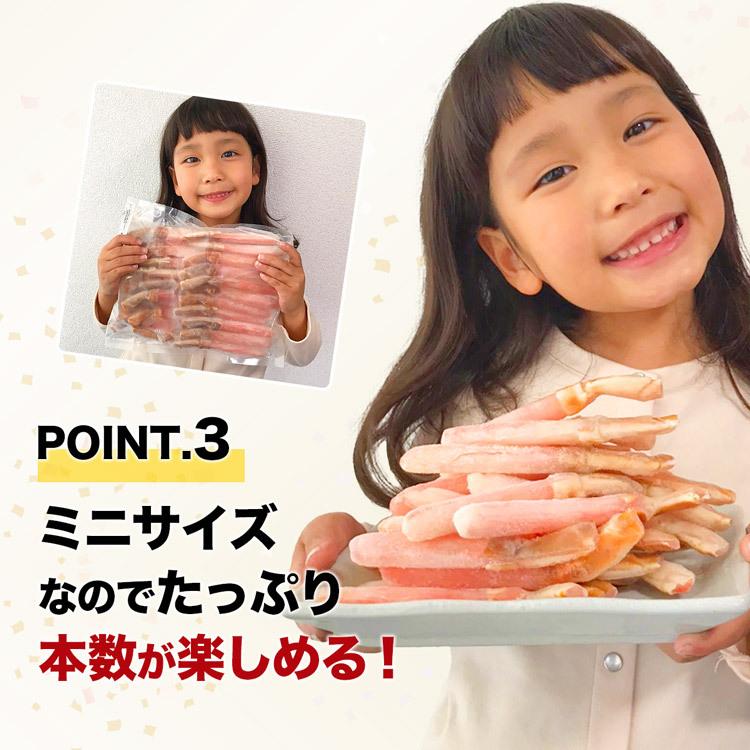 かに カニ 蟹 ズワイガニ 訳あり ズワイ蟹ミニサイズポーション 500g 送料無料 カット済み グルメ 食品 お歳暮 ギフト 10%クーポン