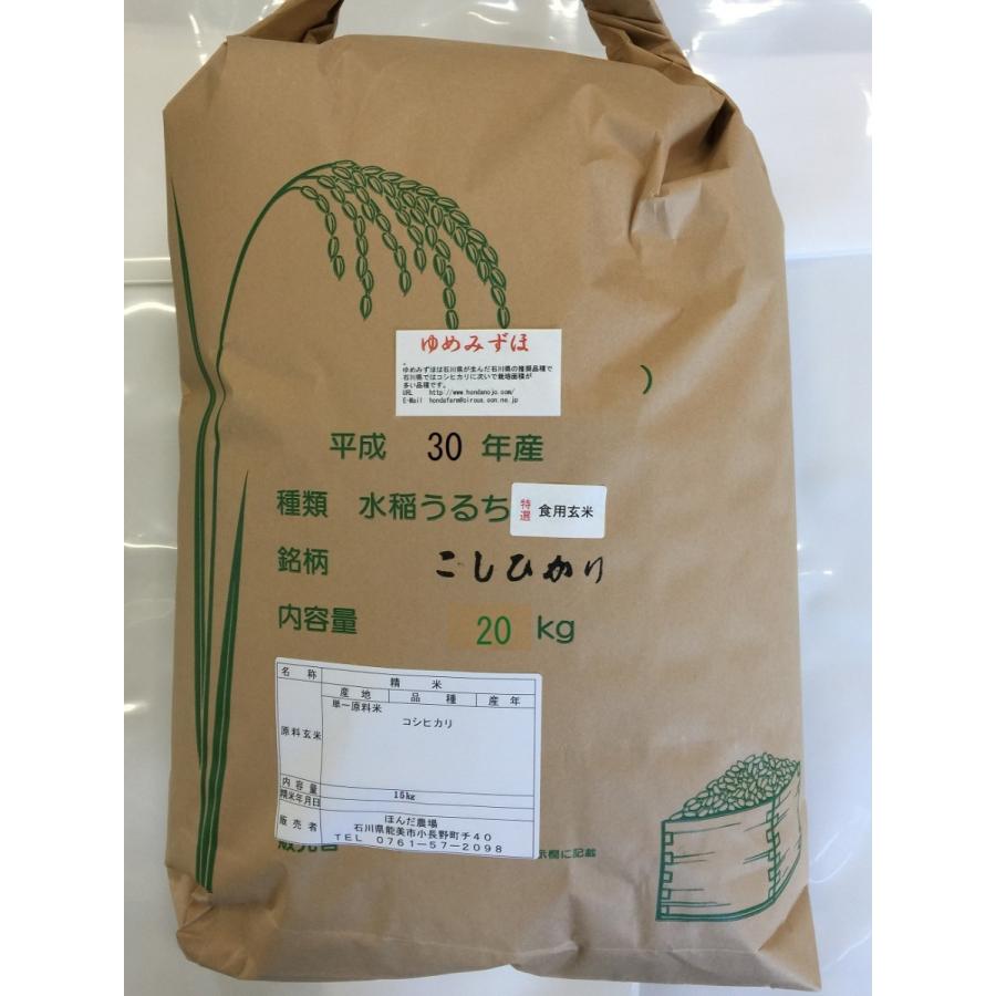 令和5年産 新米 加賀厳選米 ゆめみづほ 食用玄米 20kg
