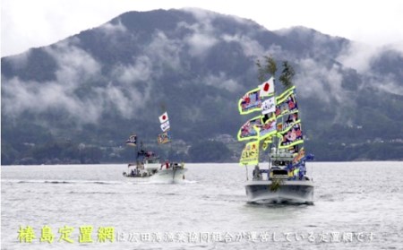 広田湾「椿島定置網サバ水煮」缶詰（6缶セット）