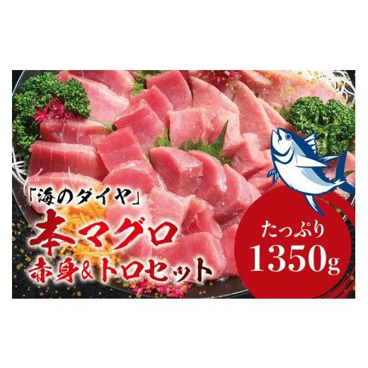 ふるさと納税 和歌山県 紀美野町 本マグロ（養殖）トロ＆赤身セット 1350g  ／ 高級 クロマグロ  中トロ 中とろ まぐろ マグロ 鮪 刺…