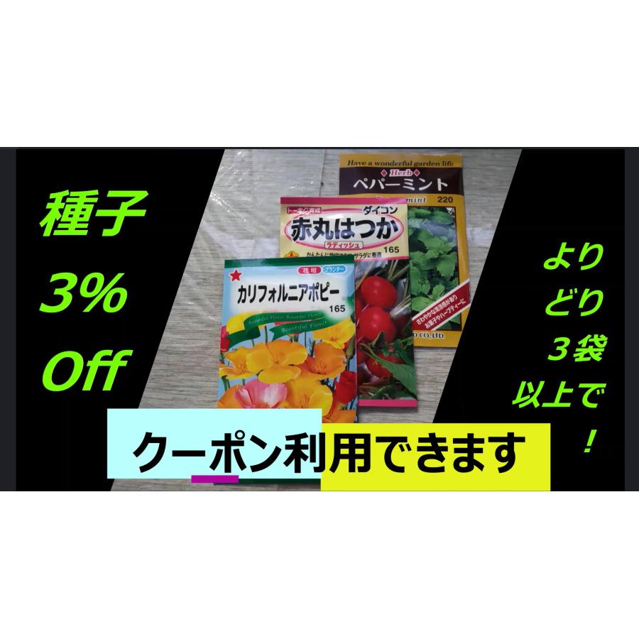 ３袋以上でクーポン割引 小豆 大納言 あずき 大粒 種 郵便は送料無料