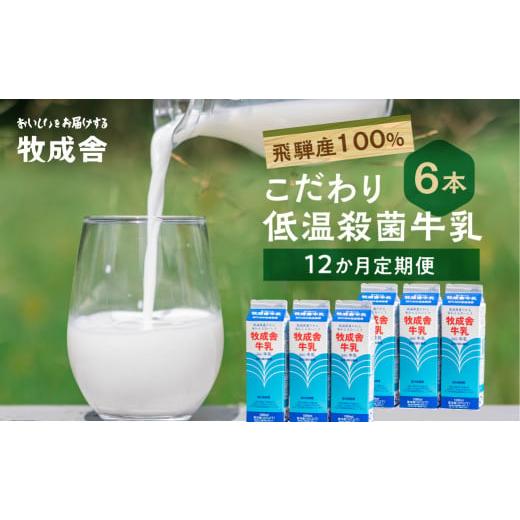 ふるさと納税 岐阜県 高山市 定期便 牛乳 (6本 × 12か月 飛騨産生乳100％  牧成舎 美味しい低温殺菌牛乳6本 全 12回  乳製品 飛騨   TR3749