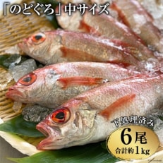 脂のり抜群!「のどぐろ」中サイズ(160～180g)6尾＜煮付け・塩焼き用＞