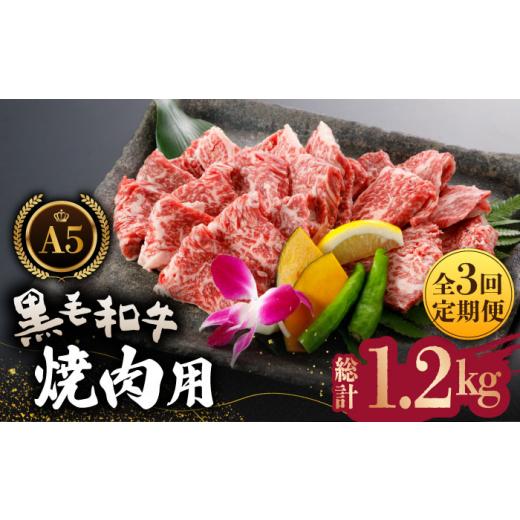 ふるさと納税 熊本県 山鹿市 A5 黒毛和牛 焼肉用 約400g 黒毛和牛 焼き肉用 焼肉 焼き肉 熊本県産 [ZBO029]