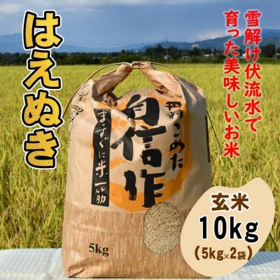 ふるさと納税 飯豊町 はえぬき玄米10kg　山形県飯豊町産