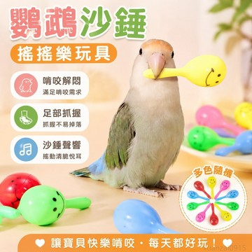寵物省錢鋪】鸚鵡沙錘搖搖樂玩具 足部抓握啃咬解悶髮洩解壓互動玩具迷你沙錘 鸚鵡趣味玩具 小太陽鸚鵡 和尚鸚鵡 凱克鸚鵡
