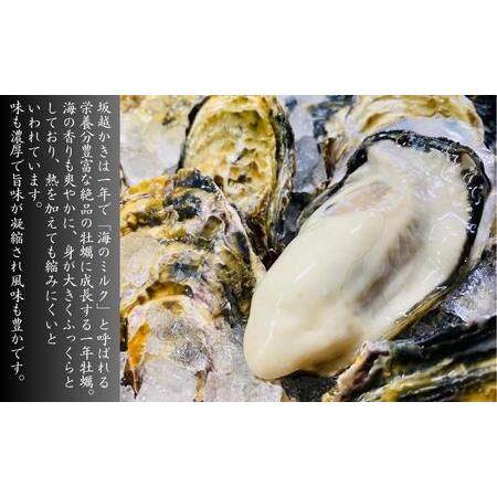 ふるさと納税 牡蠣 生食用 坂越かき 殻付き 45〜50個[ 生牡蠣 真牡蠣 かき カキ 冬牡蠣 兵庫県赤穂市