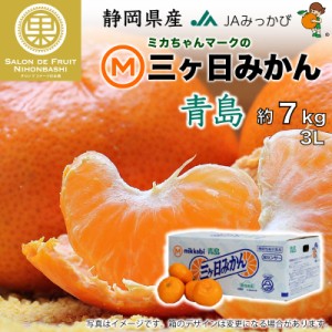 [予約 12月10日から12月25日のご納品] 三ケ日みかん 青島 約 7kg 3Lサイズ 静岡県産  JAみっかび 三ヶ日みかん 青島みかん 蜜柑 ギフト