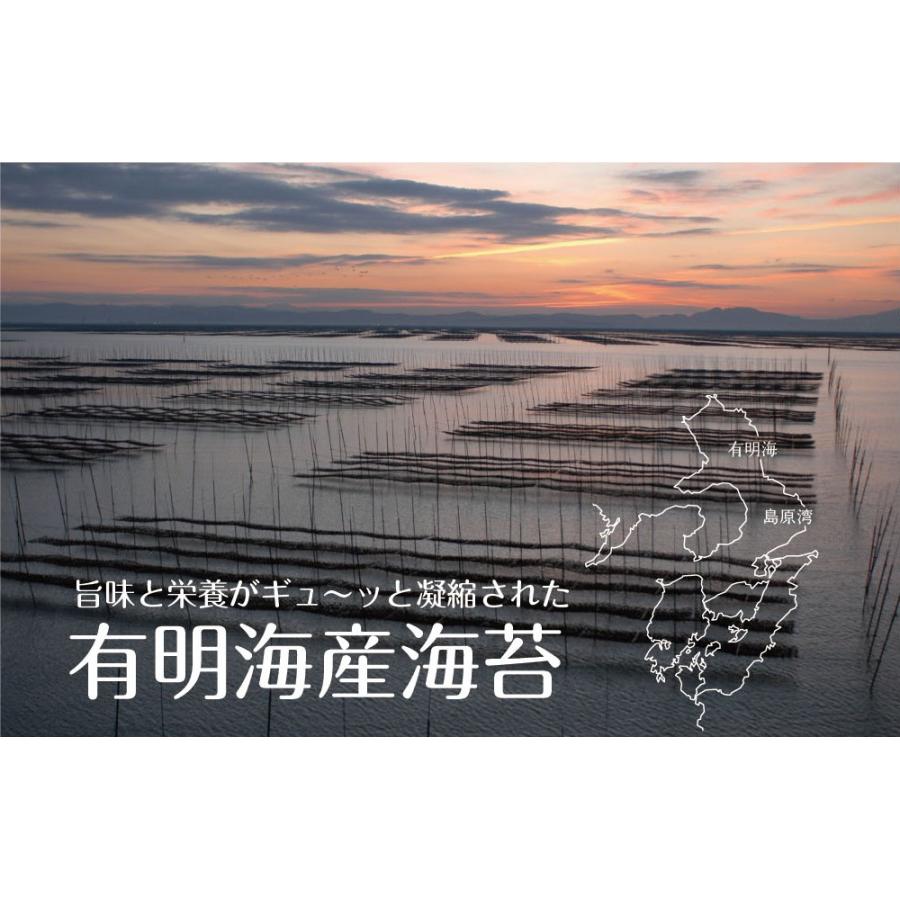 きざみ海苔 有明産 上級きざみ海苔 40g メール便 送料無料 刻み海苔 きざみ海苔 きざみのり ちらし寿司 弁当 トッピング ポイント消化 お取り寄せグルメ