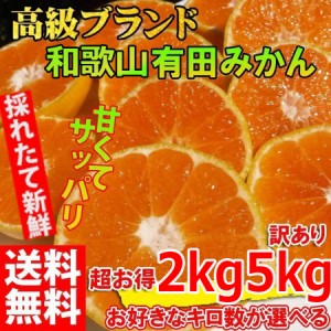 みかん  選べる2kgと5kg 今だけお得！ 農家直送 訳あり 和歌山 有田みかん ありだみかん ブランド