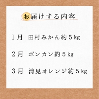 人気の柑橘を集めた！みかんの定期便