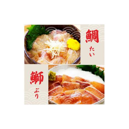 ふるさと納税 訳あり海鮮漬け丼（5種×各2P）セット 漬け丼 まぐろ イカ ぶり 鯛 タイ カツオのタタキ 鰹タタキ 食べ比べ 海鮮 魚 冷凍 食品.. 高知県土佐市