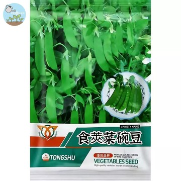 【原廠包裝】軟夾荷蘭豆 蜜糖甜豌豆種子 食莢菜豌豆（Podded Pea）荷蘭豆 現採現吃超清甜 陽台盆栽可種 沙拉快炒