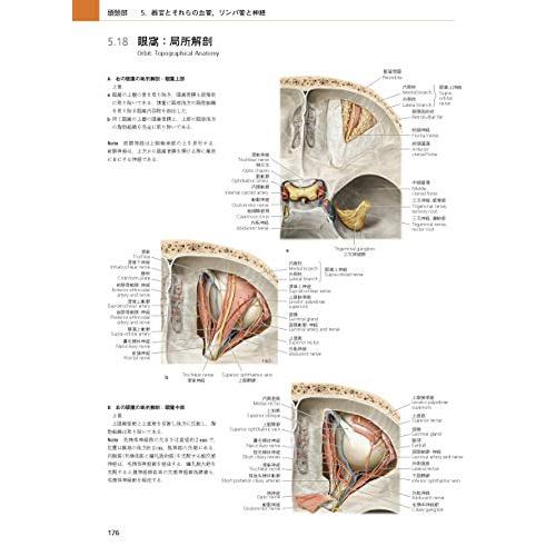 プロメテウス解剖学アトラス 頭頸部 神経解剖 第3版