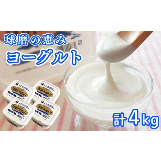 ふるさと納税 熊本県 あさぎり町 とろ〜り食感!!球磨の恵みヨーグルト 加糖タイプ 1kg×4パック