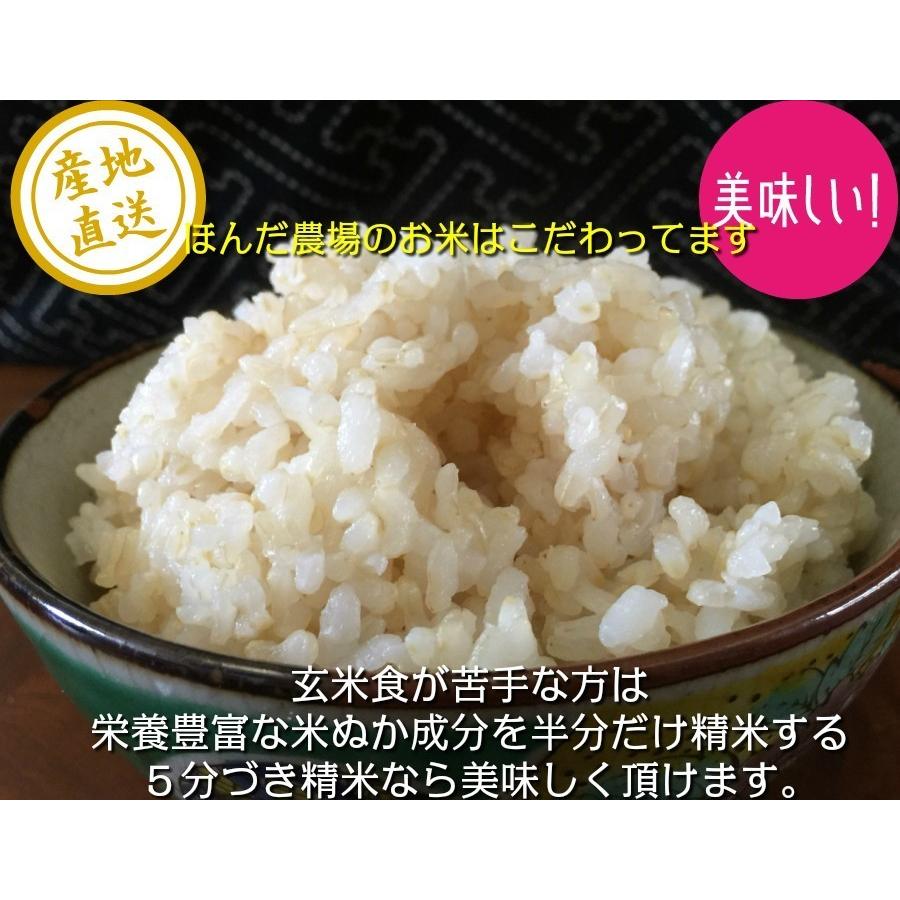 令和5年産 新米 天日干し 無農薬 有機米 天日干稲架かけ コシヒカリ 玄米 2kg 天地の誉