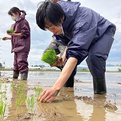 水菜土農園新米 秋田県産 ミルキークイーン 2kg 令和5年産 古代米お試し袋付き