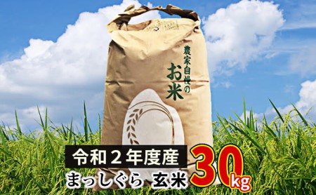 青森県鰺ヶ沢町 まっしぐら〔玄米〕30kg（30kg×１袋）