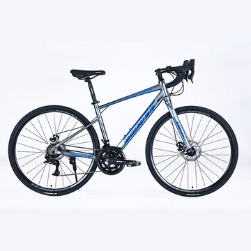 BIKEONE RX100 鋁合金內走線 L-TWOO 14速變速機械碟煞全能型彎把公路車煞變合一適合新手踏入公路車領域