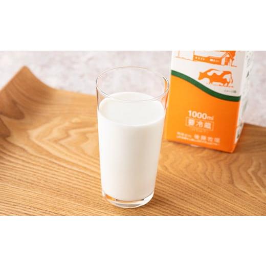 ふるさと納税 山形県 山辺町 山形県産 やまべ牛乳セット (牛乳 1L×3・コーヒー牛乳 900ml×1) ×6回 F21A-324