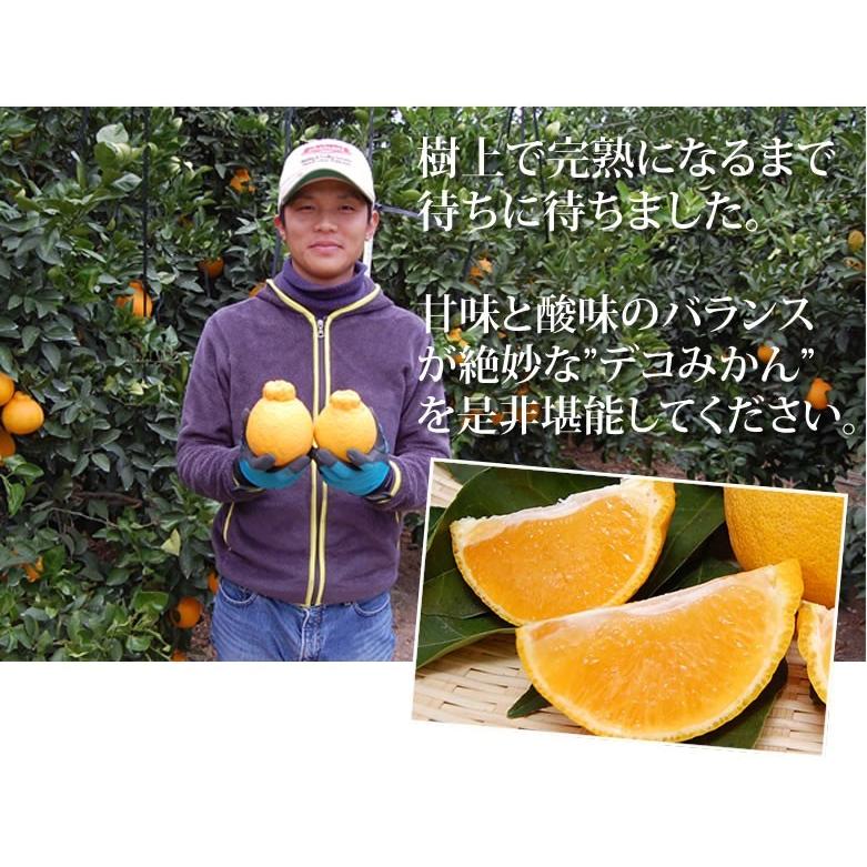 デコポン 同品種 デコみかん 訳あり 送料無料 4kg ハウス栽培 みかん 熊本県産 不知火 ミカン 蜜柑