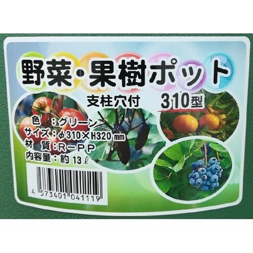 野菜・果樹ポット 310型　10号　グリーン　20個セット・送料無料