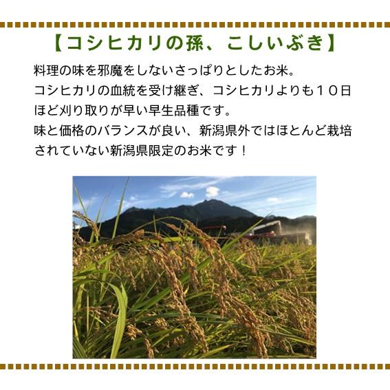 新米 令和5年産 米 お米 10kg こしいぶき 5kg×2 白米 新潟 送料無料 糸魚川 能生米 農家直送  精米