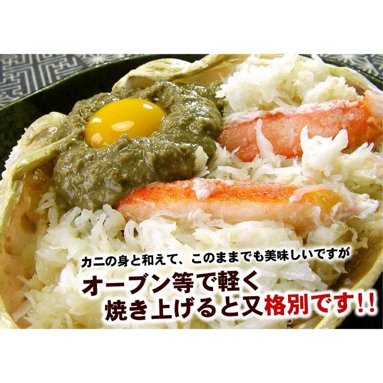 メール便 送料無料 かにみそ 300g （代引不可・着日指定不可・同梱不可） カニみそ 蟹味噌 かに味噌 カニ味噌 味噌 カニ カニミソ 蟹みそ チューブ 絞り袋