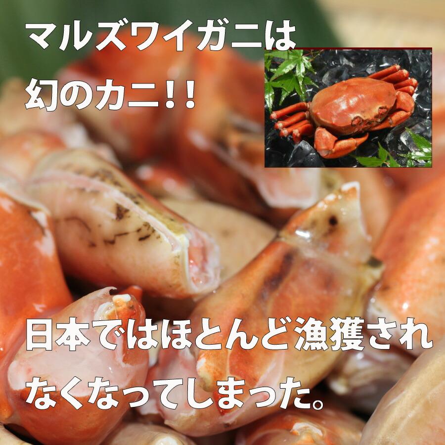 まるずわいがに カネダイ まるずわいがに爪 　