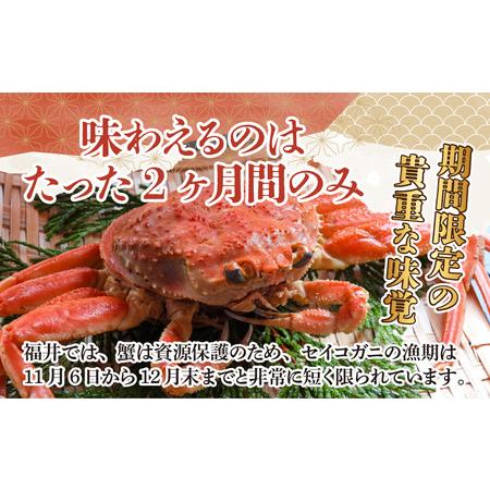 ふるさと納税 福井県産 越前コッペガニ（セイコガニ）×4杯（プロトン凍結.. 福井県高浜町