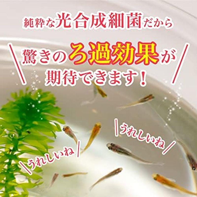 和香 高濃度 PSB 光合成細菌 5000ml バクテリア 水質浄化 免疫 メダカ ...