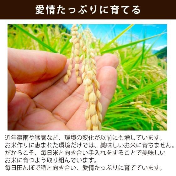 新米 お米１０ｋｇ 無洗米 令和５年産 魚沼産コシヒカリ 2Kg×5袋 安心安全 信頼と品質のお米 魚沼市推奨コシヒカリ 送料無料