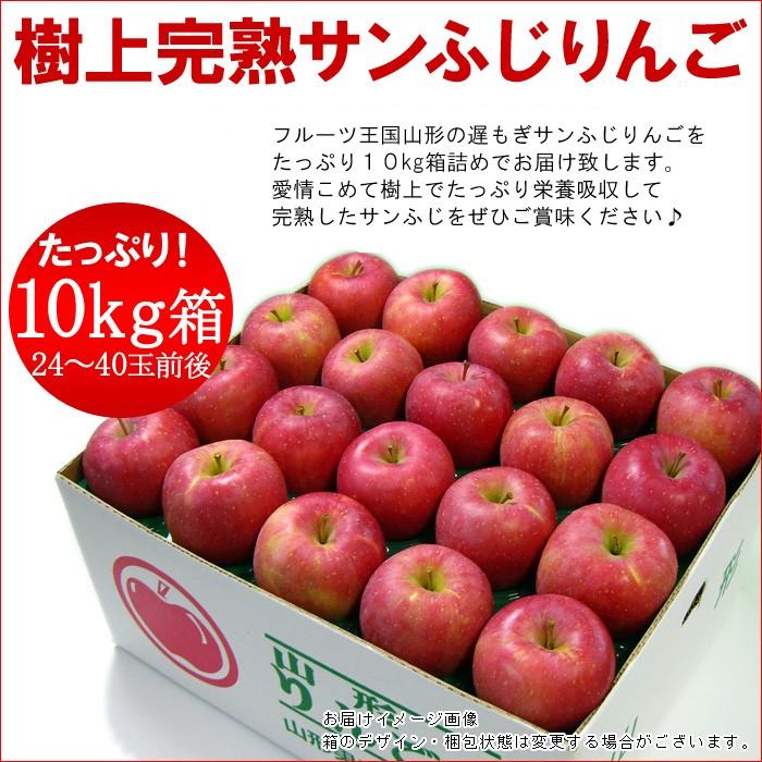 サンふじ 約10kg 24-40玉前後　送料無料、りんご、林檎、ふじ、フジ、山形県、樹上完熟のりんごを産地より直送 遅もぎ