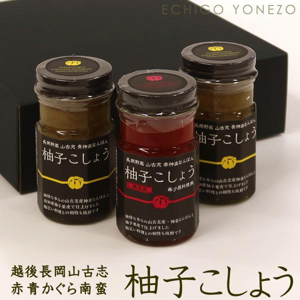 フンドーキン 青柚子こしょう（チューブタイプ） 30ｇ フンドーキン