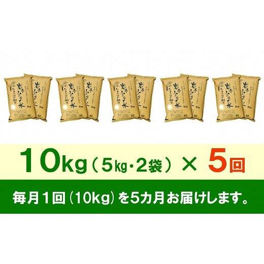 ふるさと納税 岩手県 奥州市 ☆全5回定期便☆ 岩手ふるさと米 10kg(5kg×2)×5ヶ月 一等米ひとめぼれ 令和5年産 新米  東北有数のお米の産地 岩手県奥州市産