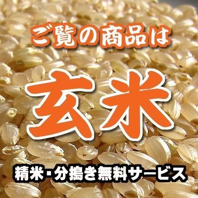 福島 会津産 ミルキークイーン 玄米 1kg