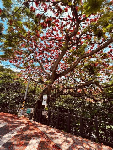 清水模【慢活】 家的質感｜鴻福車位兩房【異國風】｜台北市士林區中山北路七段