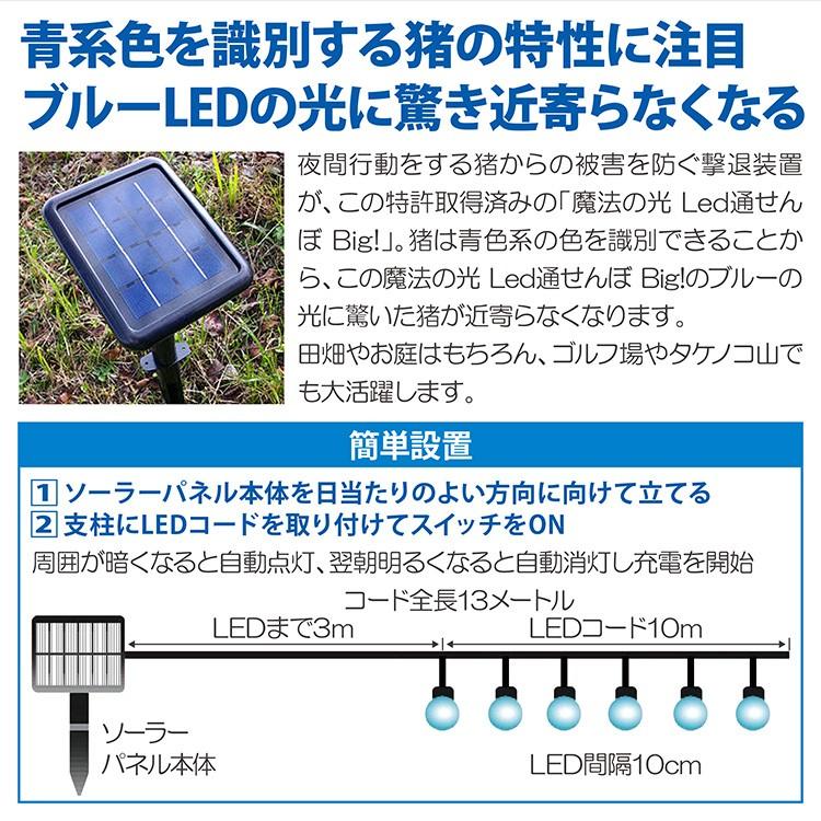 イノシシ撃退装置 Led通せんぼ Big!照度センサー 夜間自動点灯 日中自動消灯 ランダム点灯 ソーラー発電