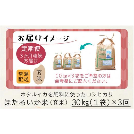 ふるさと納税 富山県 滑川市 ほたるいか米（玄米30kg）×3回 計90kg