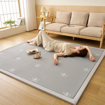 2025新款真涼感冰豆豆天鵝系列地墊