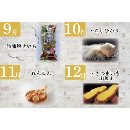 ふるさと納税 AE-56JAが選ぶ！さつまいも好きのための行方まるごと旬鮮便 茨城県行方市