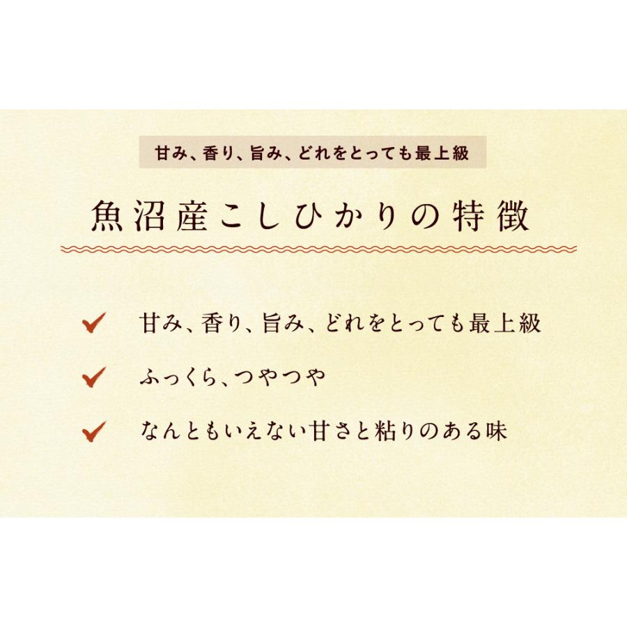 新米 魚沼産（新潟県）コシヒカリ 20kg（5kg×4袋）  送料無料 令和5年度産 魚沼産 新潟県産 お米 20kg（北海道・沖縄別途送料）（配達日・時間指定は不可）