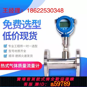 【全網低價 可打統編】热式气体质量 天然气 氢氧氮氩气流量计 TMF气体质量智能气体质量