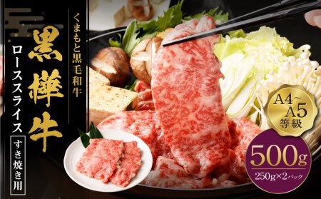 くまもと 黒毛和牛 黒樺牛 A4~A5等級 ローススライス  すき焼き用 (250g×2) 500g 牛肉 和牛