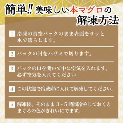 ふるさと納税 福知山市 天然 本まぐろ ネギトロ　海の宝石 ちりめん海鮮丼本マグロ 2袋付き  解凍レシピ付